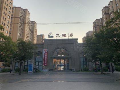 天同九龙湾最新消息全面解读