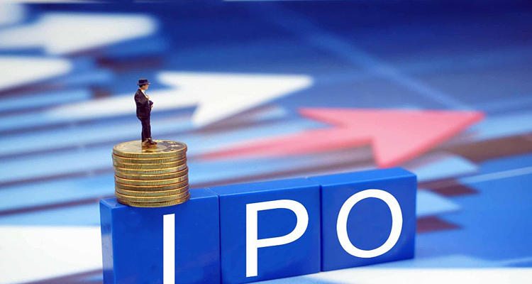 揭秘2024新奥正版资料，精选解析落实与免费提供的深度探索