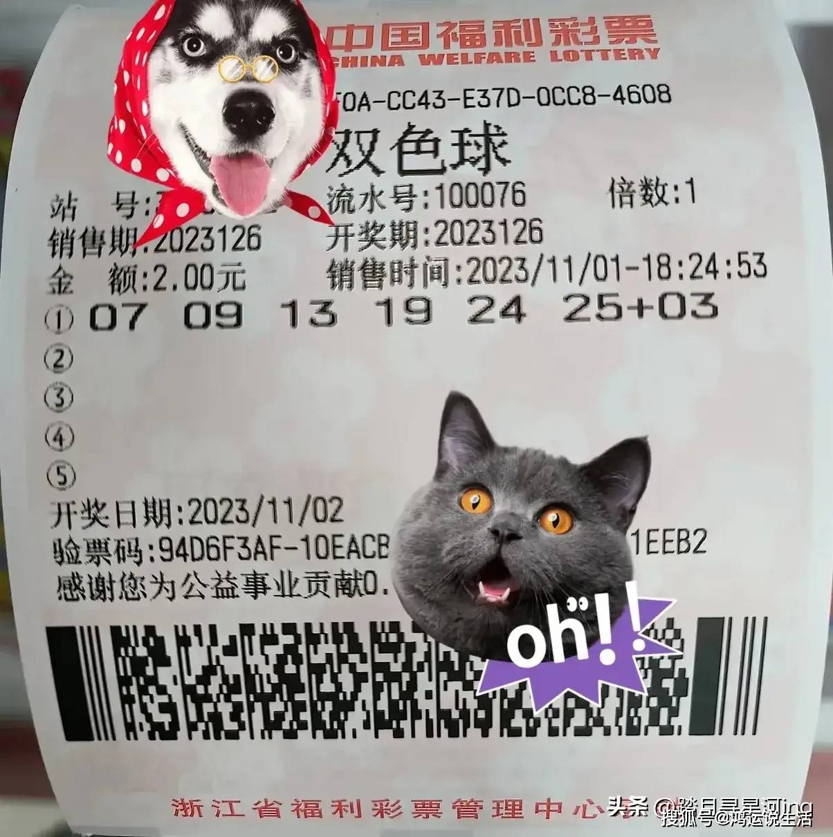 澳门 第162页