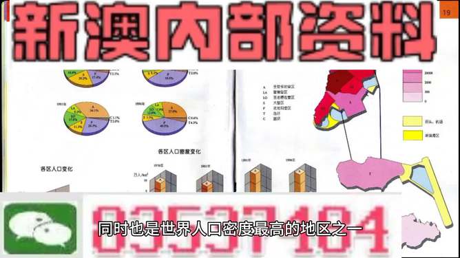 新澳门正版精准免费大全，解析与落实精选策略