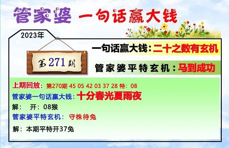 澳门一肖一码与管家婆9995，解析与落实精选解释