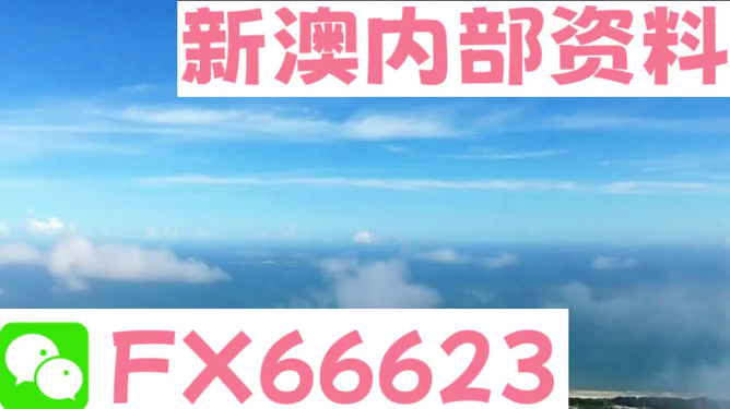2024新澳免费资料大全精准版，解析与落实精选策略