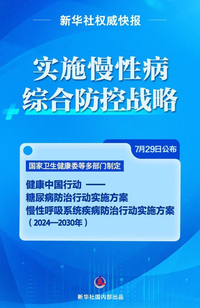 澳门正版资料解析与落实策略，迈向未来的关键指引
