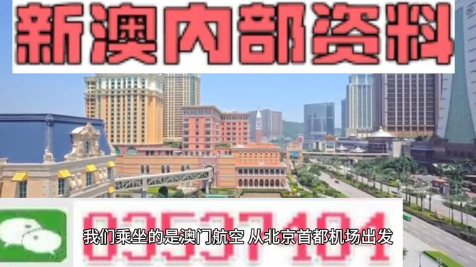 新澳门特免费资料大全，精选解析与落实的今日图片展示