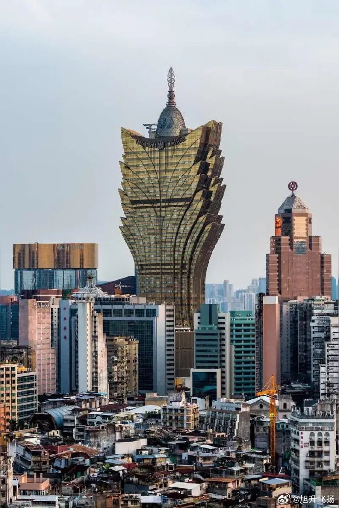 澳门免费精准一码发财，解析与落实精选策略