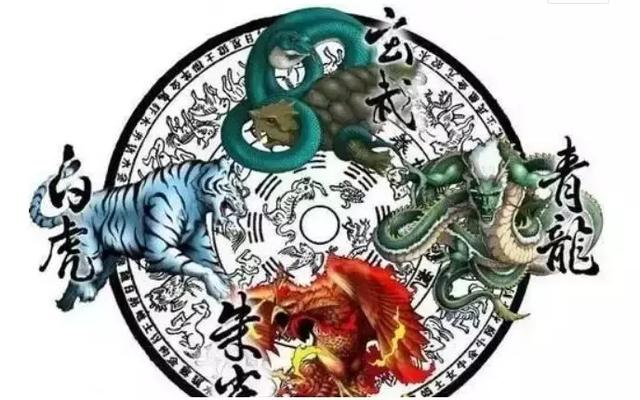 澳门白虎玄机精准玄武，解析与落实精选解释