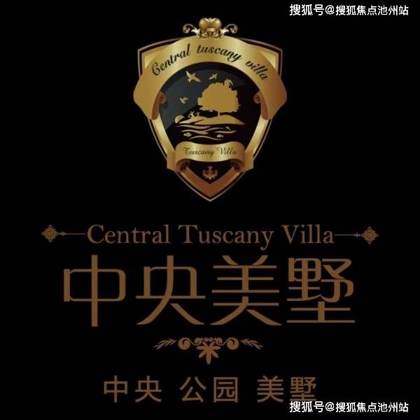 澳门一码一肖一待一中四不像亡，解析与精选解释