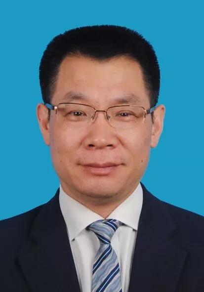 新奥2024年免费资料大全精选解析与落实策略