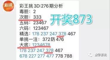 澳门彩论坛，免费资料精选解析与落实策略探讨