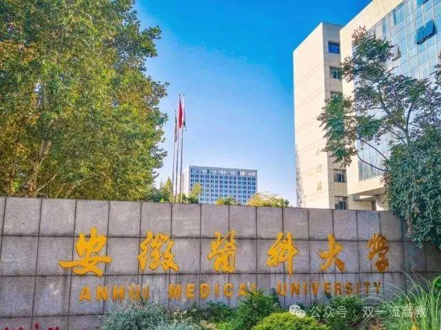 澳门 第11页