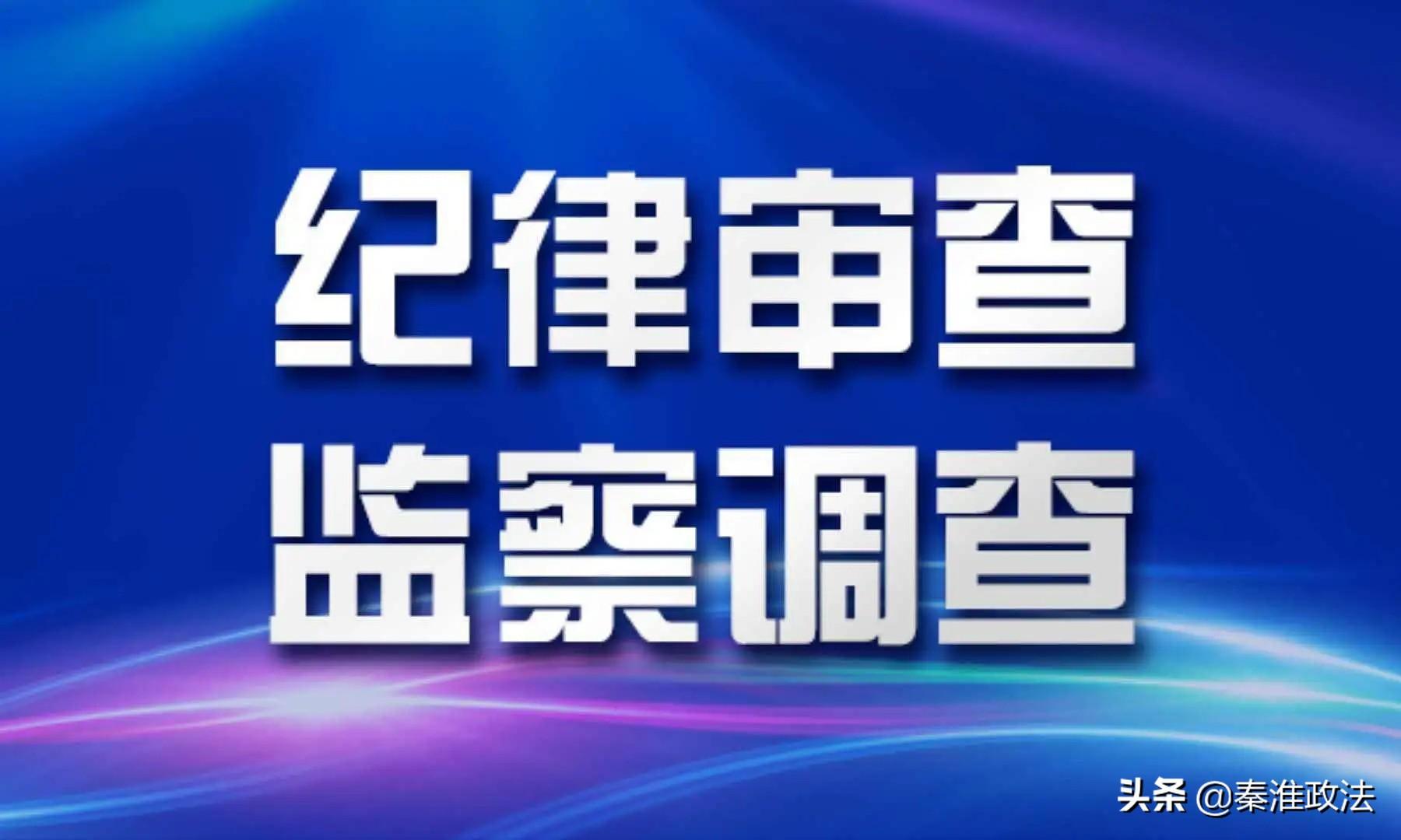 宜宾市向辉礼最新消息，一位城市精英的崛起与贡献