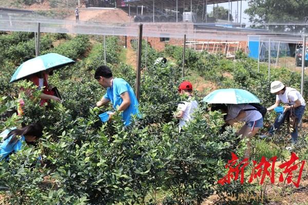 耒阳市最新道路规划图，塑造现代化城市交通格局